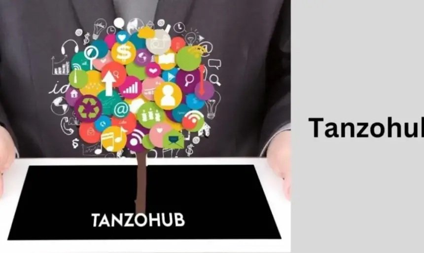 Tanzohub